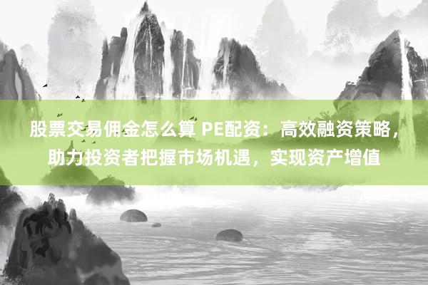 股票交易佣金怎么算 PE配资：高效融资策略，助力投资者把握市场机遇，实现资产增值