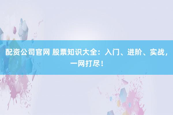 配资公司官网 股票知识大全：入门、进阶、实战，一网打尽！