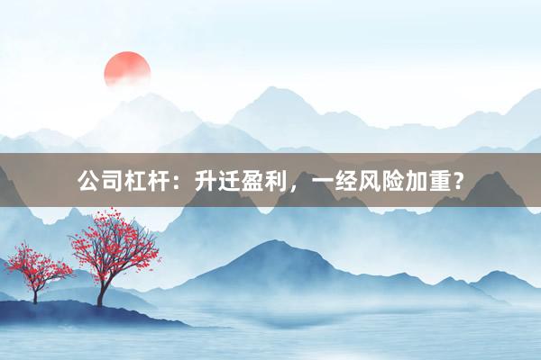 公司杠杆：升迁盈利，一经风险加重？