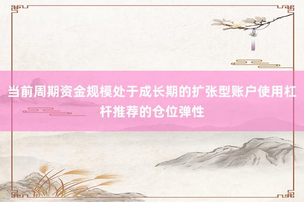 当前周期资金规模处于成长期的扩张型账户使用杠杆推荐的仓位弹性