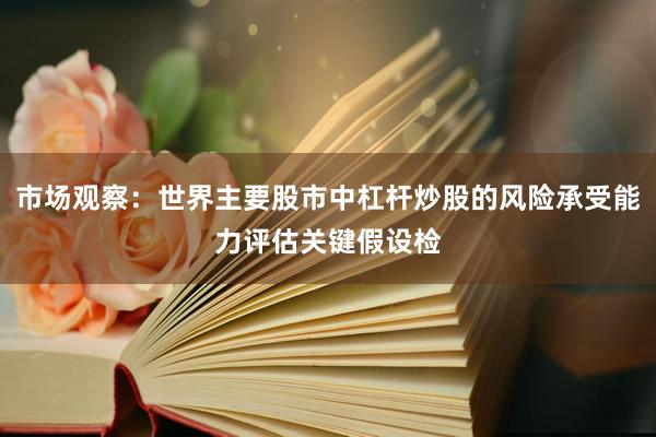 市场观察：世界主要股市中杠杆炒股的风险承受能力评估关键假设检