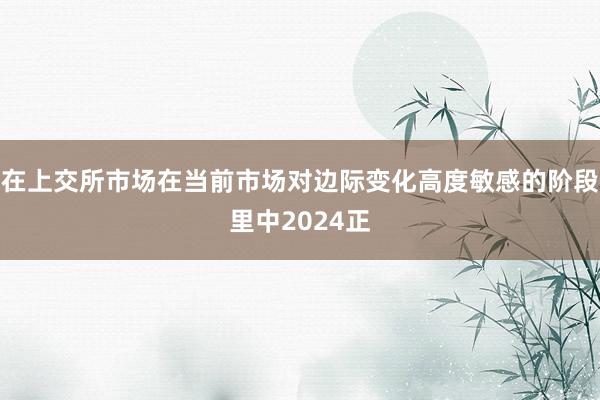 在上交所市场在当前市场对边际变化高度敏感的阶段里中2024正