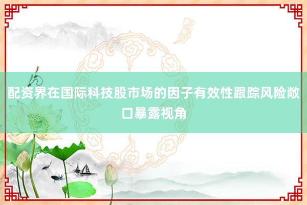 配资界在国际科技股市场的因子有效性跟踪风险敞口暴露视角