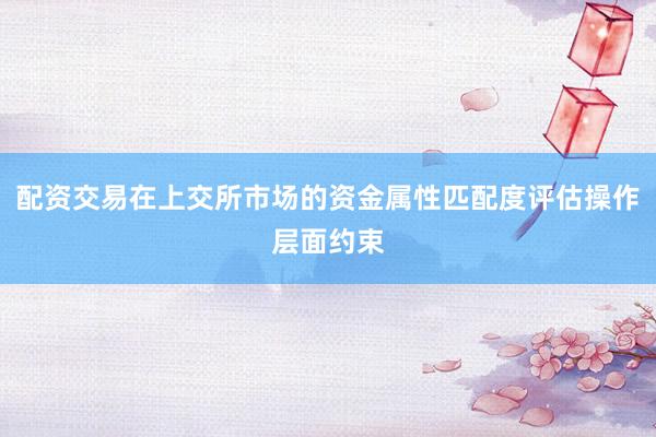 配资交易在上交所市场的资金属性匹配度评估操作层面约束