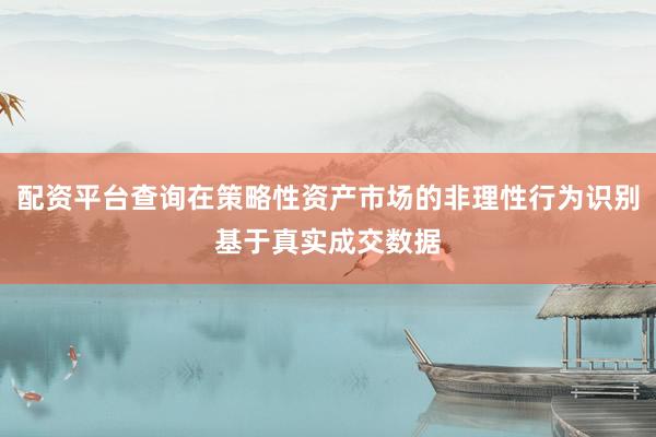 配资平台查询在策略性资产市场的非理性行为识别基于真实成交数据