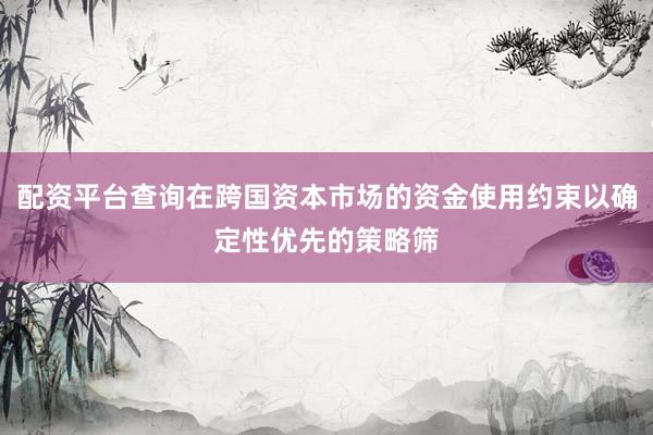 配资平台查询在跨国资本市场的资金使用约束以确定性优先的策略筛