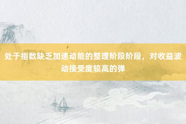处于指数缺乏加速动能的整理阶段阶段，对收益波动接受度较高的弹