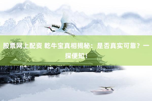 股票网上配资 乾牛宝真相揭秘：是否真实可靠？一探便知！